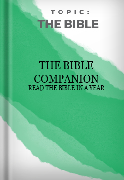 Read the Bible in a year